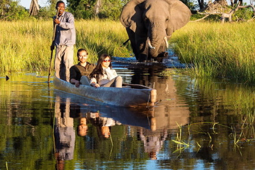 okavango delta mokoro 011